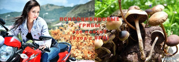 прущие грибы Верхнеуральск